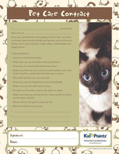 Pet Care Contract for Cats