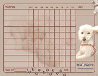 Charts for Kids: Poodles  Theme